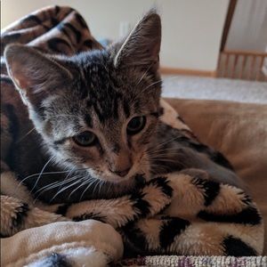 Meet your Posher, Samantha